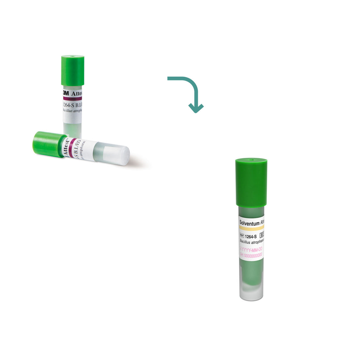3M™ Attest™ Ethylene Oxide Biological Indicator, 1264-S, Green Cap, 48 hr, 300/CAR, 2 CAR/CS, 600/CS