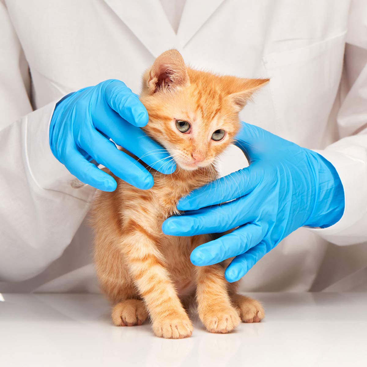 Synguard Blue Nitrile Exam Gloves - Latex-Free & Powder-Free - NGPF700 (4-mil) Case of 10 boxes