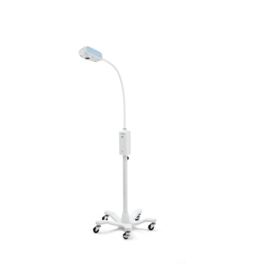 GS-300 GEN EXAM LT W/MOBILE STD DOM